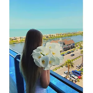 Апартаменты Sea ​​view In Orbi, Батуми